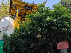 -泸州老窖景区