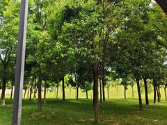 -秦始皇帝陵博物院-丽山园