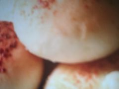 -苹果花园(金耀南路店)