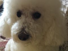 -纳吉亚猫专科动物医院博雅分院