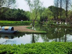 -青枫公园