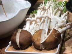 -尚海豆捞(乐虹坊店)