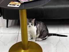-谜盒子奇幻密室(南屏店)