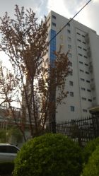 -中国黄金(北京旗舰店)