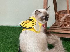 -梧桐巷咖啡厅·coffee&bar