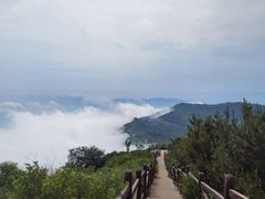 -阳台山自然风景区