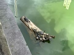 -报恩禅寺