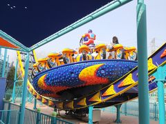 -海合安武汉极地海洋公园