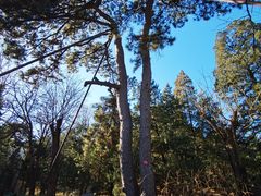 -香山公园