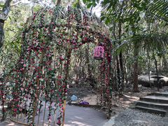 -七仙岭温泉国家森林公园