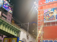 -秋叶原电器街
