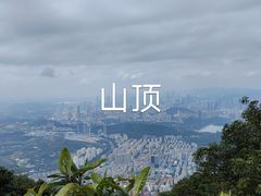 -梧桐山风景名胜区