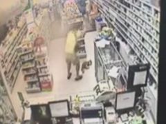 盛京一禾-盛京一禾