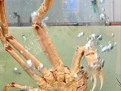 -福满楼·海鲜酒家(福永益田店)