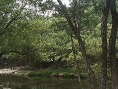 -武汉姚家山旅游景区