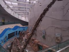 -陕西自然博物馆