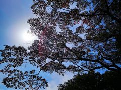 -韶关经律论国际酒店温泉