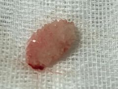 -瑞派宠物医院·24小时骨科·心脏·核磁(哈尔滨南岗店)