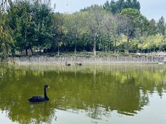 -石家庄市动物园