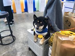 -香港会议展览中心演讲厅