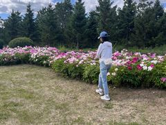 -长春世界雕塑园冰雪艺术天地