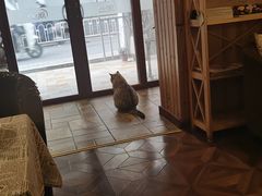 -隅cafe(傅厚岗店)