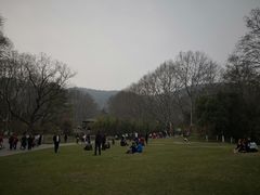 -习家池