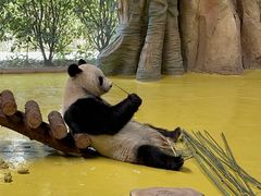 -南京汤山紫清湖生态旅游温泉度假区