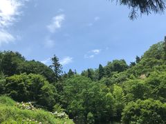 -鼓岭旅游度假区
