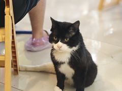-平行世界·猫咖(首经贸店)