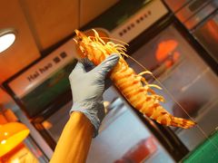 -鲜入围煮花胶鸡海鲜火锅