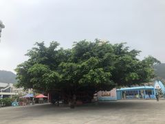 -江门古兜温泉小镇
