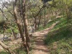 -贮水山儿童公园