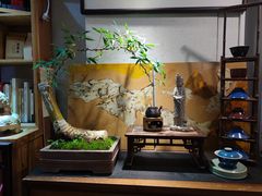 -菩提书坊(侨福大厦店)