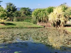 -中国科学院西双版纳热带植物园