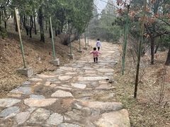 -北京鹫峰国家森林公园