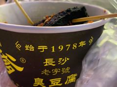-武爹臭豆腐(坡子街店)