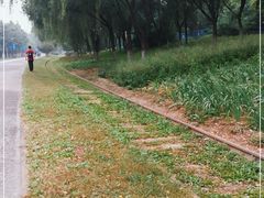 -永定河休闲森林公园