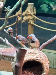 -Zoolung Zoolung动物主题公园(海信广场店)