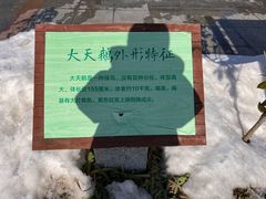 -烟墩角天鹅湖