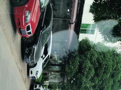 -龙上水现炒生料(柳沙店)