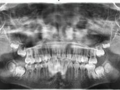 -精德口腔·种植修复·儿牙中心(财富中心店)