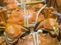 -黄记大闸蟹专卖店·活蟹·醉蟹