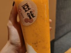 -炖物24章·顺时轻养茶(黄龙店)