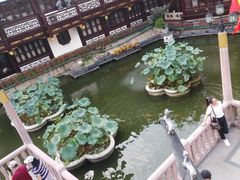 -豫园湖心亭茶楼
