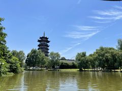 -洋湖国家湿地公园