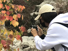 -百里山水画廊乌龙峡谷