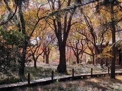 -国家植物园南园