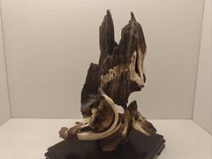 -香市公园-中国沉香文化博物馆