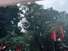 -荔湾湖公园